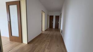 (Anfragen nur per eMail) -Ruhige und gepflegte Drei-Zimmer-Küche-Bad Wohnung in Darmstadt-Wixhausen – 64291 Darmstadt – Vorschaubild 5