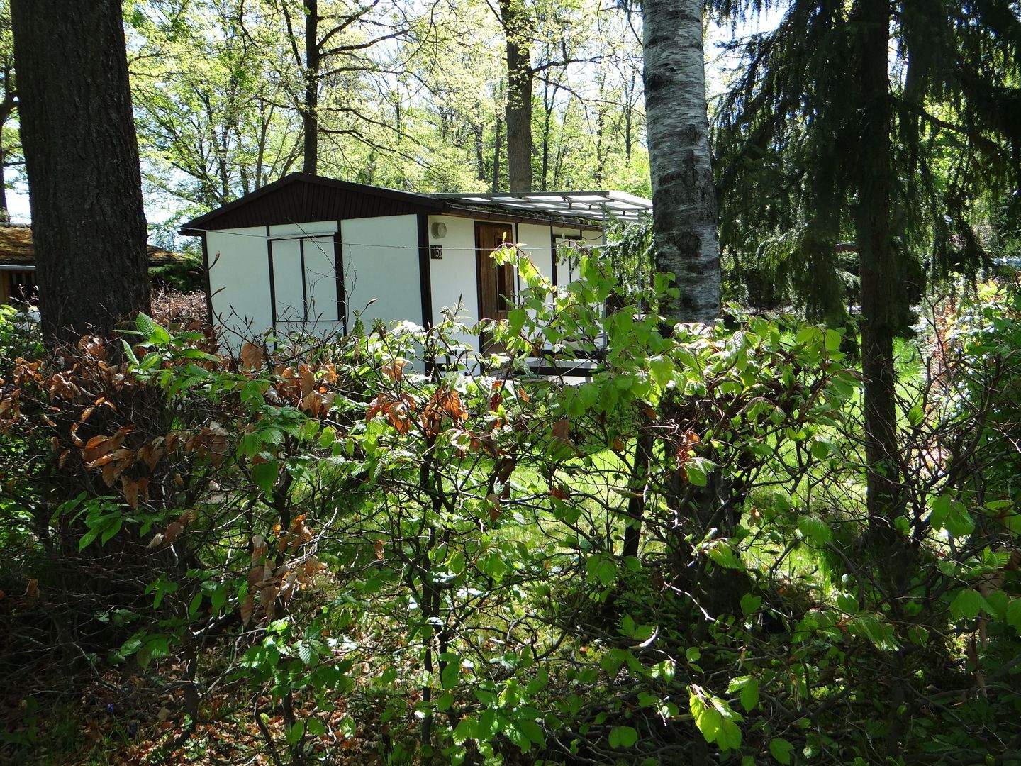 Ihr Ferienbungalow im Wald, ruhig, grün am Stausee Quitzdorf – Quitzdorf am See – Bild 1 von 9