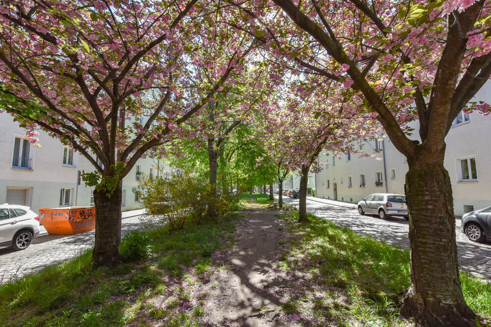 HELLE 2 ZIMMER WOHNUNG IN GRÜNER OASE |HOCHPARTERRE | PROVISIONSFREI | – Berlin – Vorschaubild 7