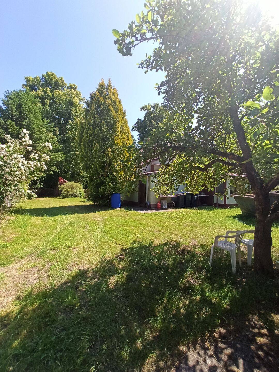 EINFAMILIENHAUS AUF GROSSEM GRUNDSTÜCK IN HOPPENRADE – Löwenberger Land – Vorschaubild 5