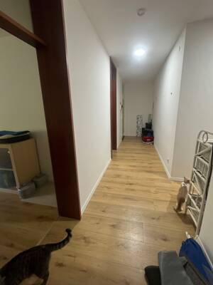 WG-Zimmer zu vermieten – 65185 Wiesbaden – Vorschaubild 2