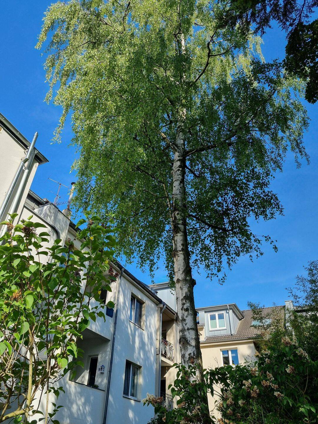 Freie, frisch sanierte 2-Zimmer -ETW im Dachgeschoß mit Terrasse im begehrten Wohnviertel Köln-Ehrenfeld. – Köln – Vorschaubild 6