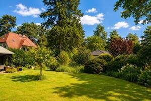 Historische Landhausvilla von 1911 auf parkähnlichem Südgrundstück in bester Lage – 14129 Berlin – Vorschaubild 5