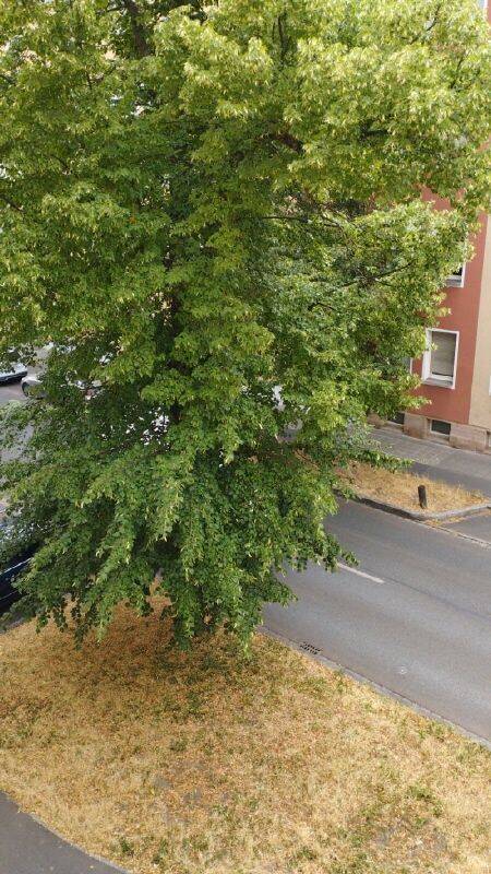 3 Zimmer Wohnung mit Balkon- Neubezug nach Sanierung – Nürnberg – Vorschaubild 8