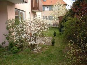 Schöne 2-Zimmer-Wohnung mit Terrasse und Garten zentrumsnah – 91052 Erlangen – Vorschaubild 7