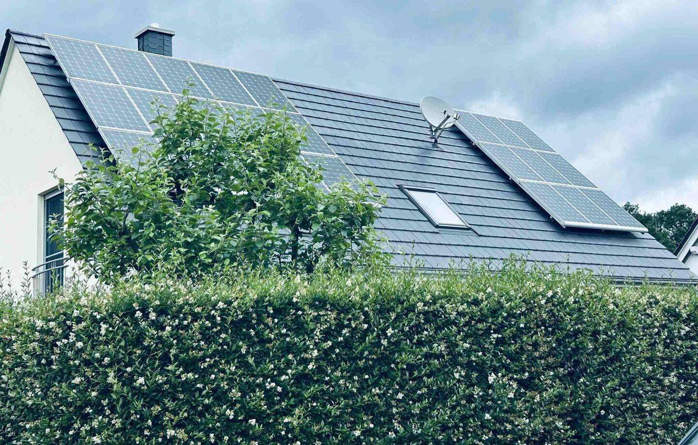 Nachhaltiges+modernes Wohnen, EFH incl. Einl.Whg, KFW55, top Lage, Energieeffizienz A+, WP mit TB – Gütersloh – Vorschaubild 5