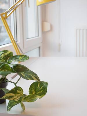 Möbliertes Apartment mit Boxspringbett am Ponttor – 52072 Aachen – Vorschaubild 6