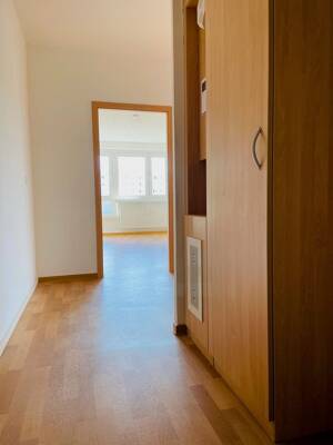 Großzüge 2-Raum-Wohnung mit toller Wohnküche! – 39120 Magdeburg – Vorschaubild 6