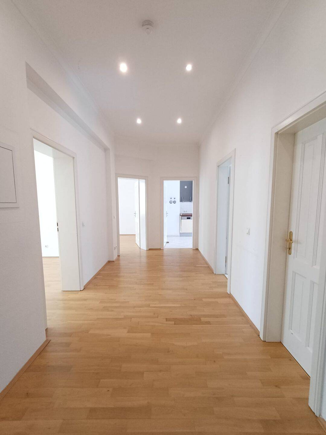 BEZUGSFREIE, Großzügige 3-Zimmer-Wohnung mit 115 m² Wohnkomfort im Leipziger Süden
