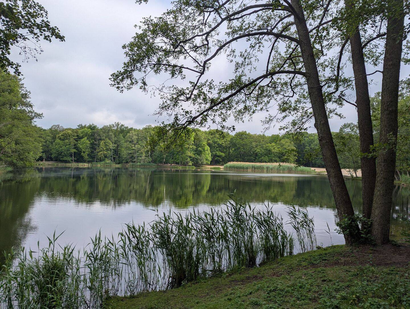 Eigentumswohnung in Bestlage zu verkaufen – Berlin – Vorschaubild 9