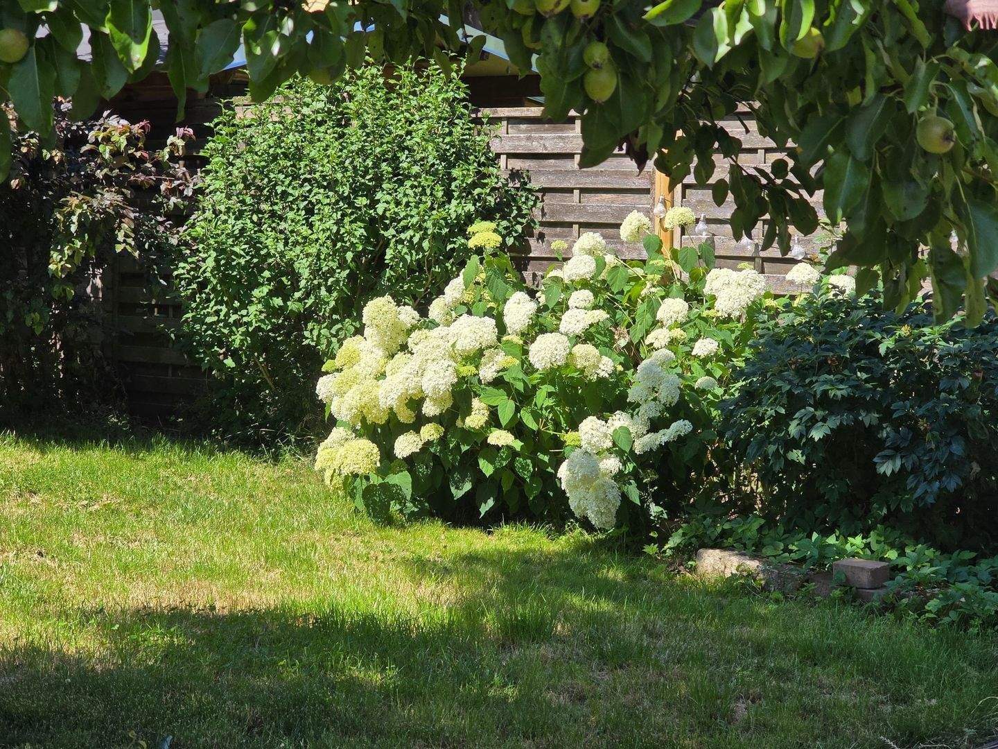 Doppelhaushälfte mit schönem Garten, bis 125 qm ausbaubar – Farschweiler – Vorschaubild 9