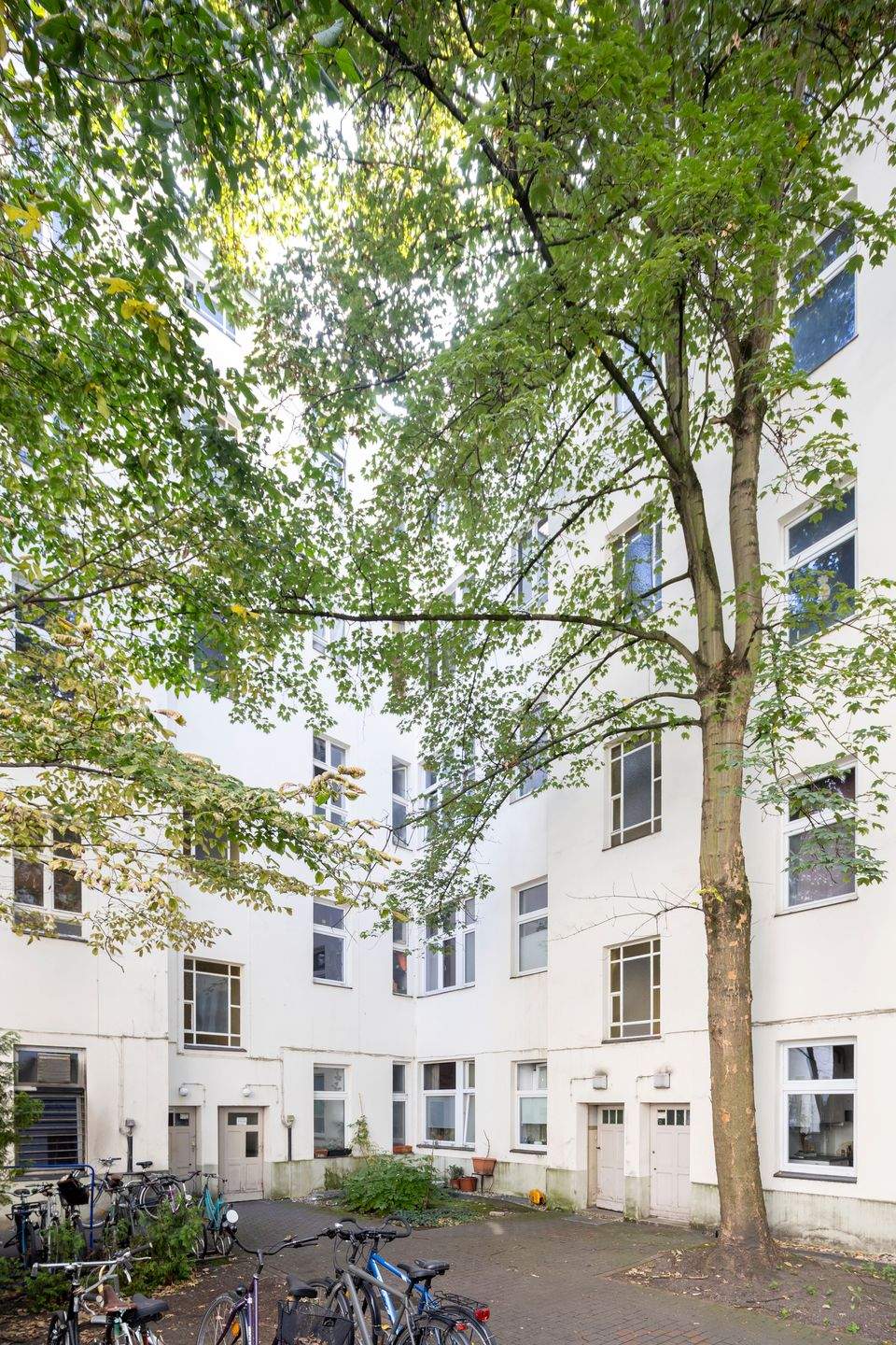 Altbaucharme im Reuterkiez: gemütliche 1-Zi.-Wohnung- vermietet, mit Perspektive zur Eigennutzung! – Berlin – Vorschaubild 3