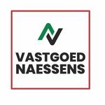 Vastgoed Naessens logo