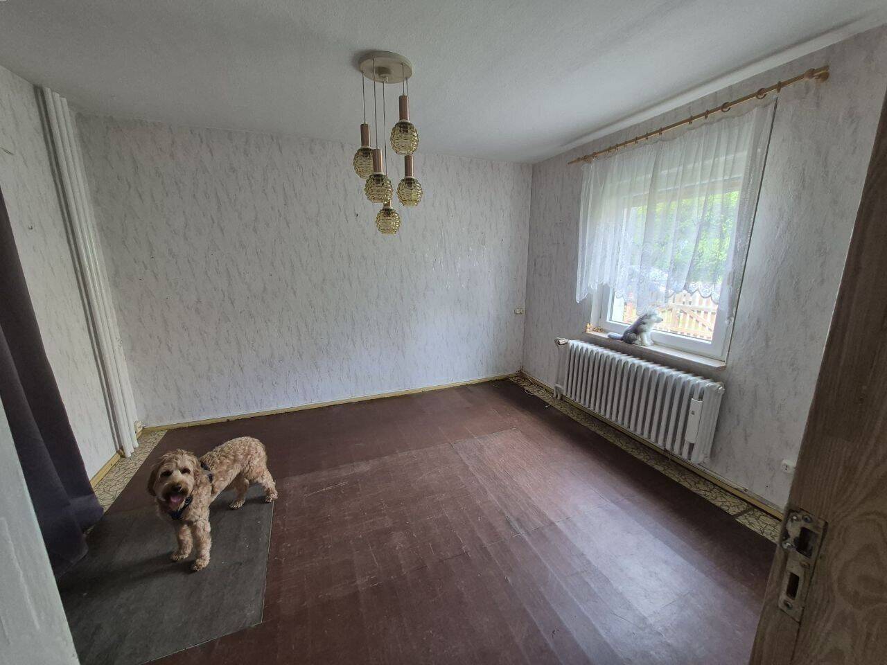 Solide Doppelhaushälfte mit großem Grundstück, Nebengebäuden und Entwicklungspotenzial – Magdeburg – Vorschaubild 8