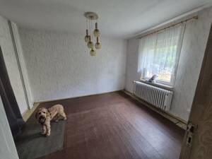 Solide Doppelhaushälfte mit großem Grundstück, Nebengebäuden und Entwicklungspotenzial – 39122 Magdeburg – Vorschaubild 8