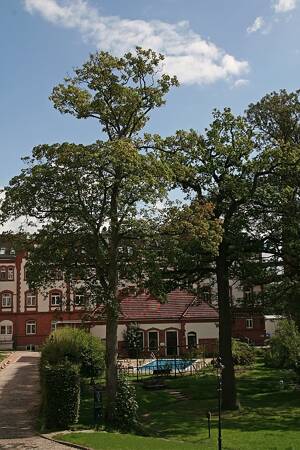 Super geschnittenes 2 Zimmer - Loft sucht neuen Mieter - Loft 626 – 22761 Hamburg – Vorschaubild 3