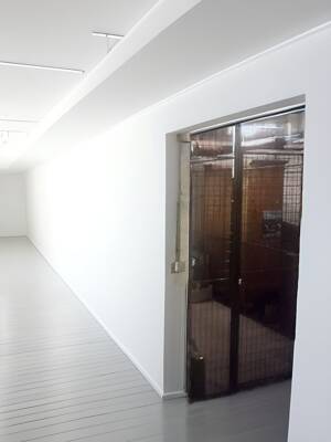 Gemütliche 2-Zimmer-Wohnung in ruhiger Lage von Tolkewitz – 1279 Dresden – Vorschaubild 8