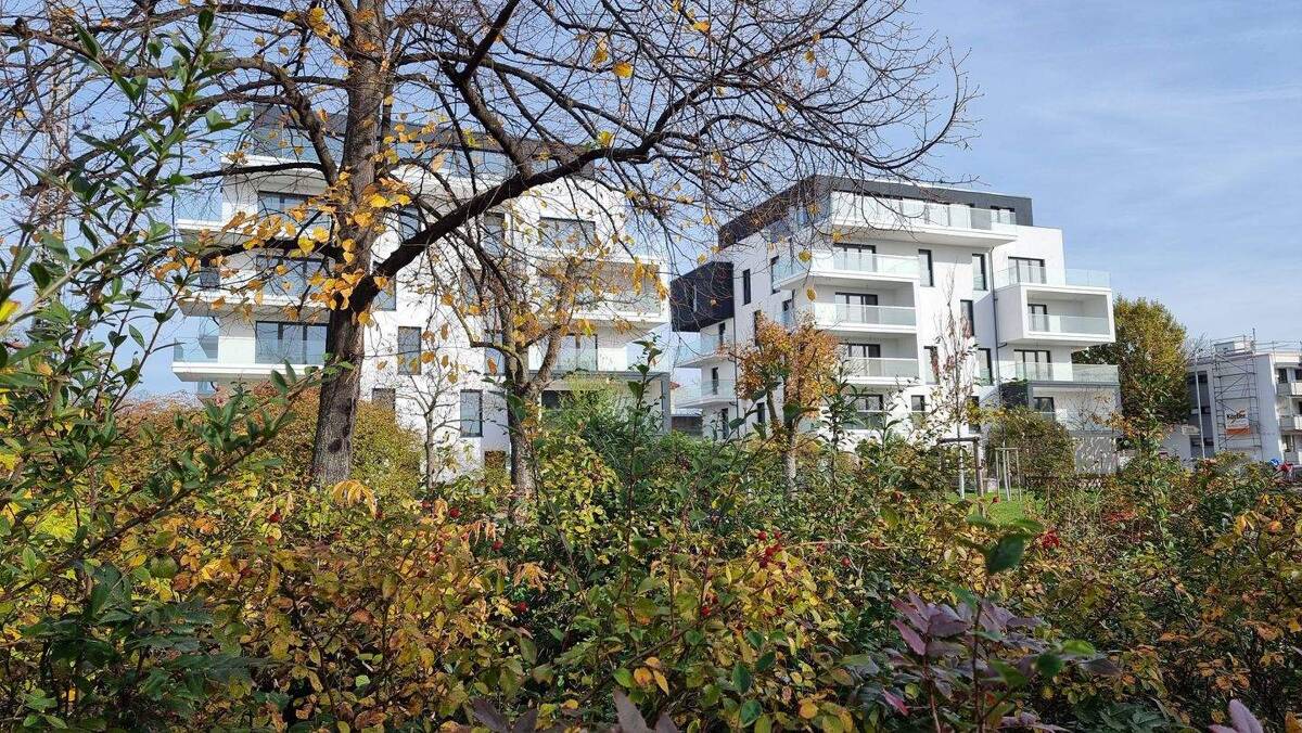 Wohnen am Hanauer Platz in Mannheim – 68305 Mannheim – Bild 1 von 9