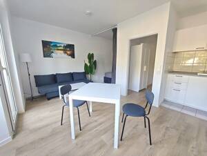 Sofort verfügbar: Renovierte, möblierte 1-Zimmer-Wohnung mit Balkon in Mannheimer Bestlage – 68165 Mannheim – Vorschaubild 6