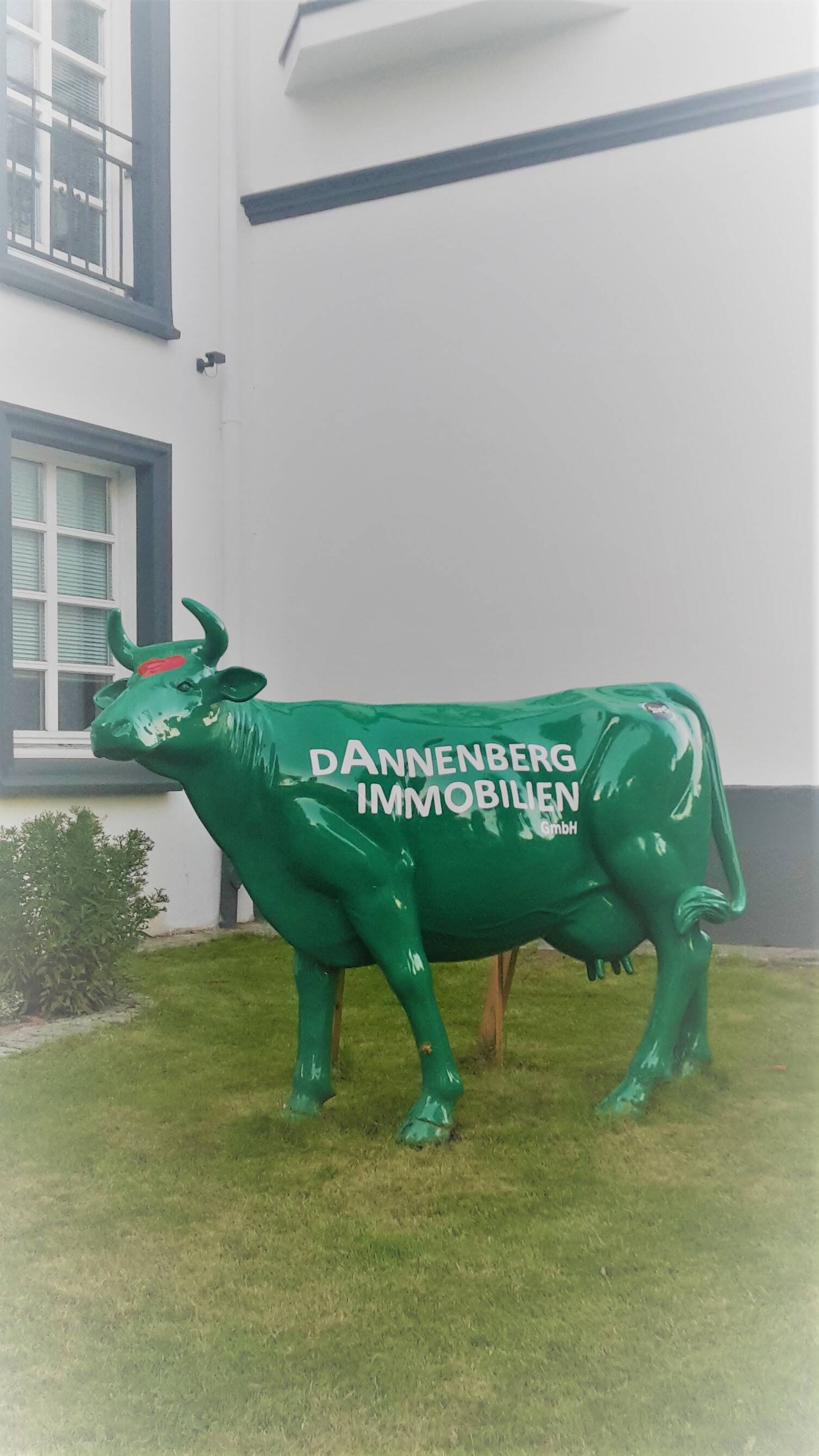 Dannenberg Immobilien GmbH logo