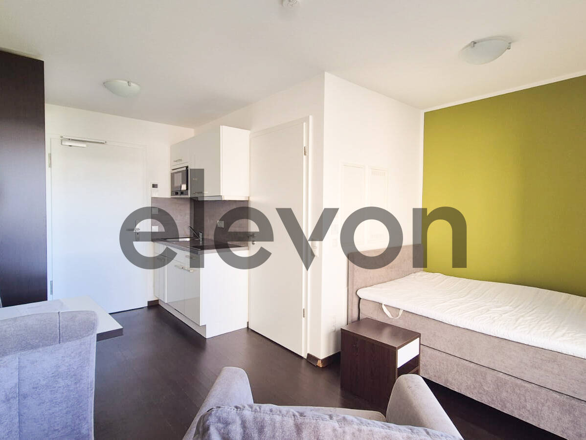 Möbliertes 1-Zimmer-Apartment im elevon