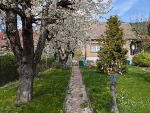 Einfamilienhaus zum Bodenrichtwert!!! – 7747 Jena – Vorschaubild 7