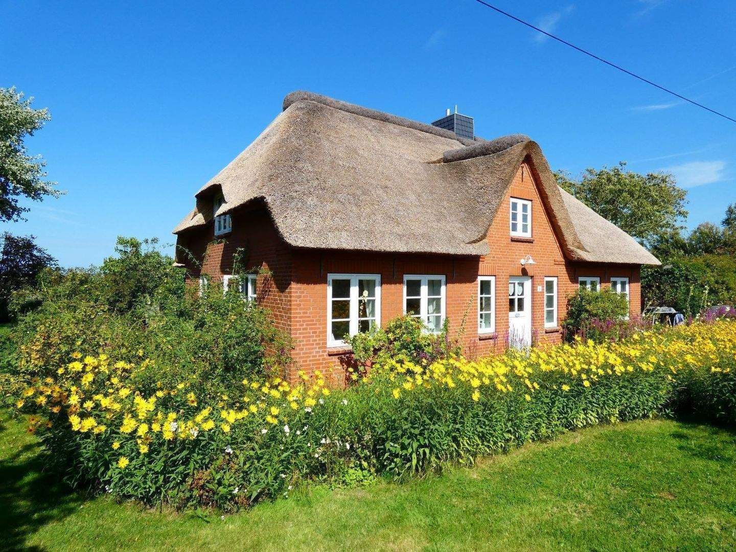 Reetdachhaus am Nordseedeich, virtuelle Besichtigung möglich – Westerhever – Vorschaubild 2