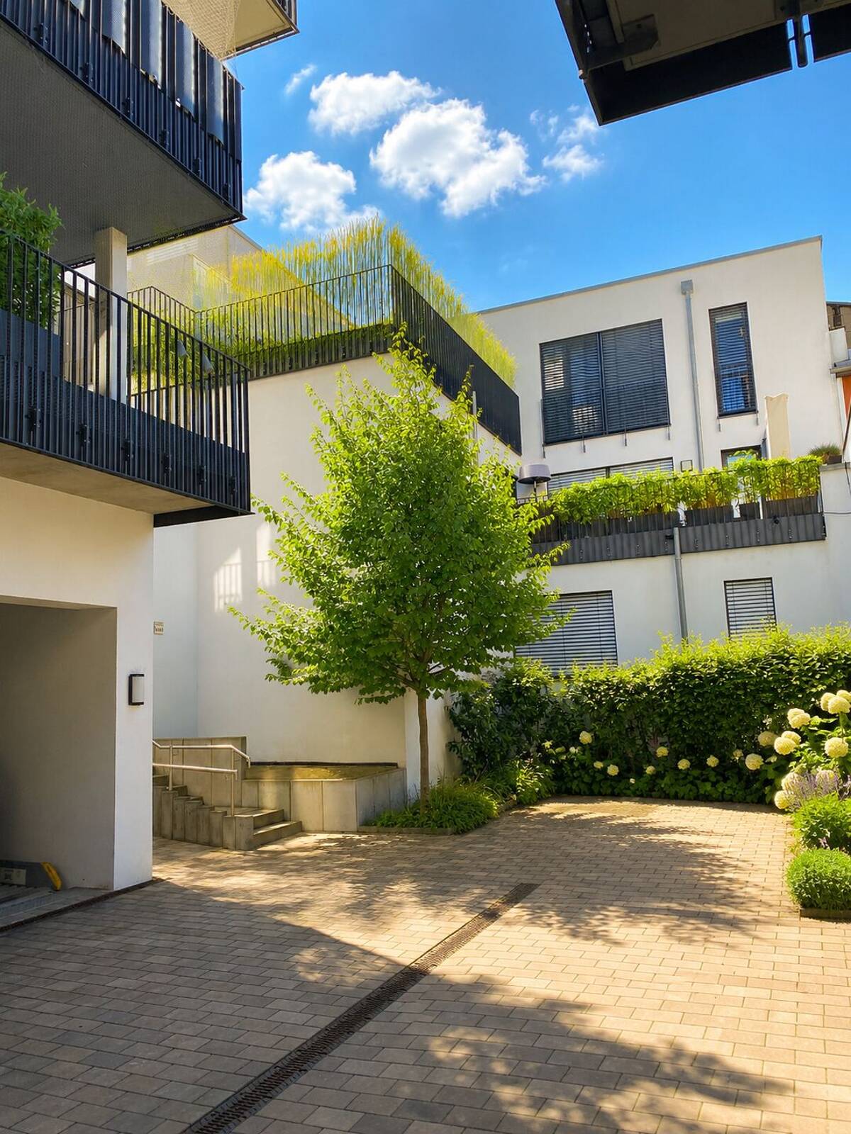 möbliertes exklusives Wohnen in Wü-Bestlage ab 15.09. neu zu vermieten – 97070 Würzburg – Bild 1 von 9