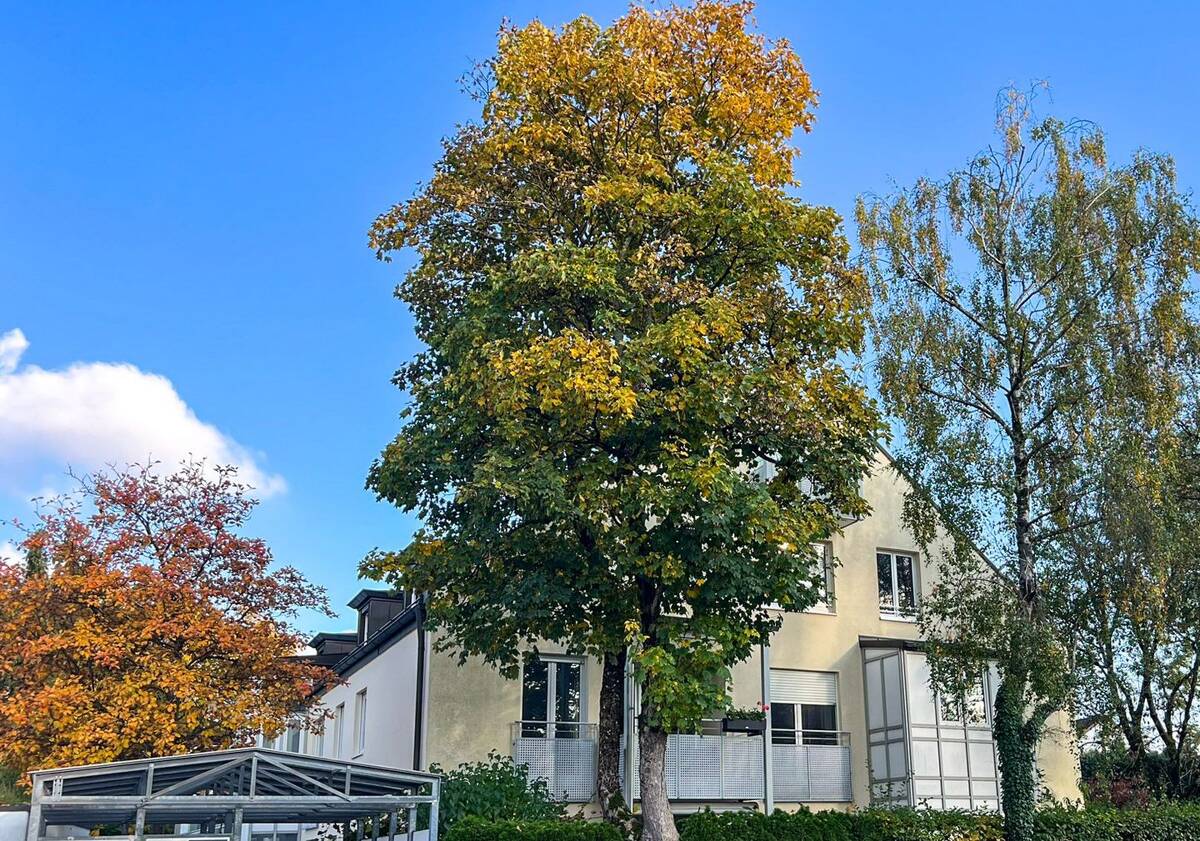Bezugsfreie 3-Zimmer-Wohnung im 1. Obergeschoss – 81735 München – Bild 1 von 9