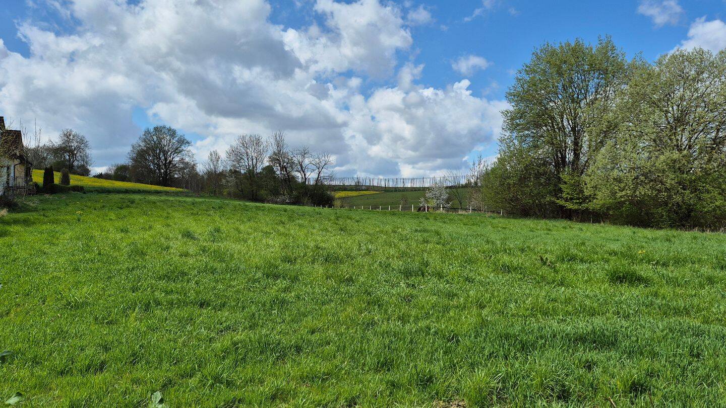 Einfamilienhaus auf großem Grundstück – Pfaffenhofen an der Ilm – Vorschaubild 4