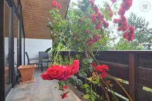 Geschmackvoll möblierte 2-Zimmer-Wohnung mit WLAN und Balkon in Erlangen – 91056 Erlangen – Vorschaubild 4
