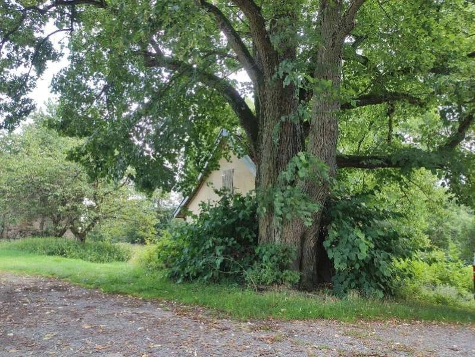 Haus in 35104 Lichtenfels mit 180 m² kaufen