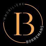 Immobilière Borremans logo