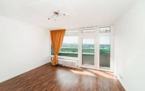 Wohnen mit Weitblick - bezugsfertige, renovierte 4-Zimmer-Wohnung im 22. Obergeschoss – 68309 Mannheim – Vorschaubild 2