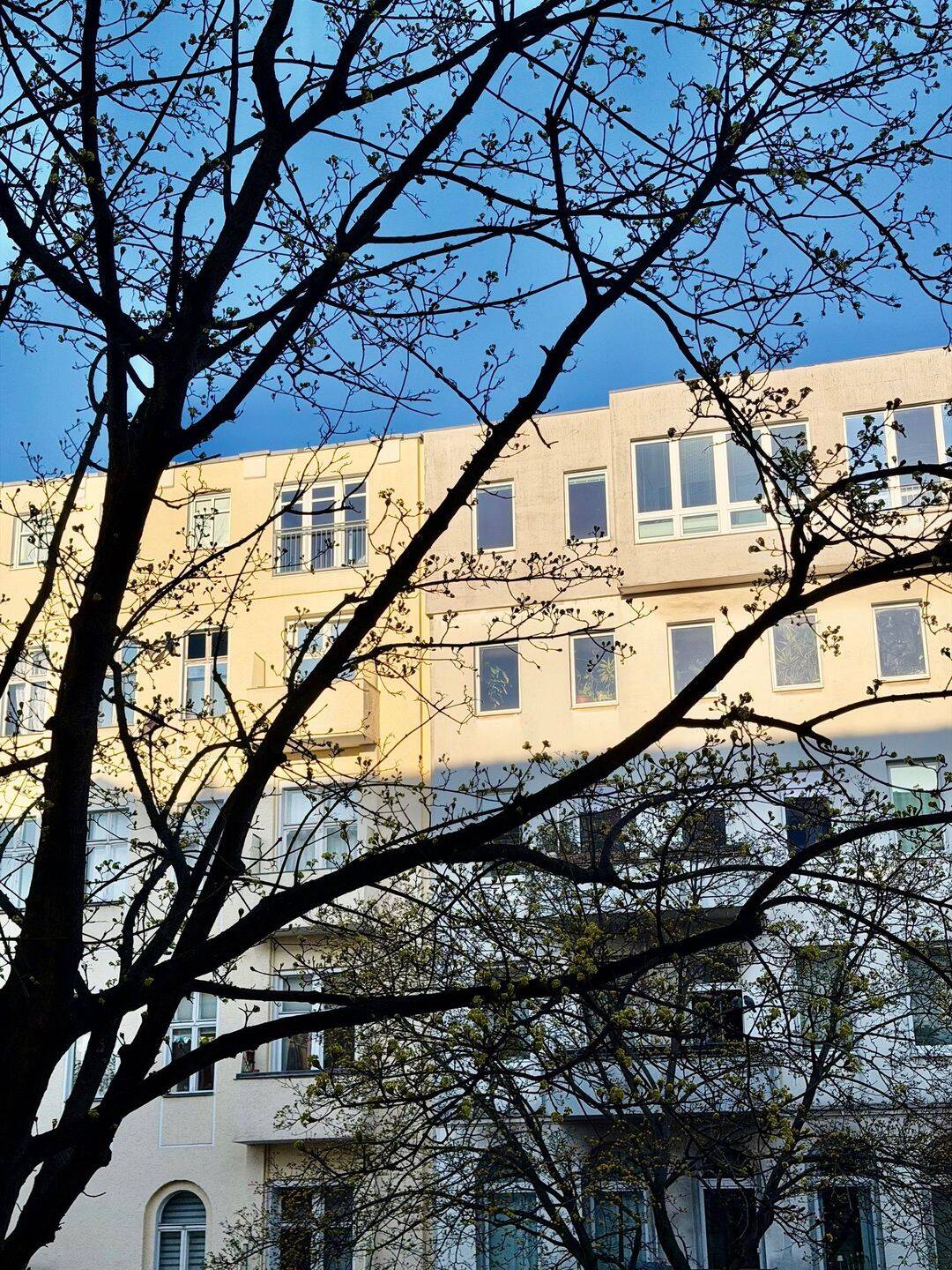 Zeitlos charmant, Charlottenburger Altbau 1. OG, vermietet – Berlin – Vorschaubild 8
