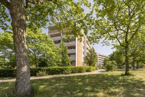 Moderne Einraumwohnung, gute Anbindung ans Stadtzentrum – 4205 Leipzig – Vorschaubild 9