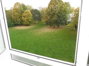 Ruhig gelegene 3 Zim.-Whg. mit Balkon zum Park – 38228 Salzgitter – Vorschaubild 8