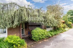 Gemütlicher Bungalow mit besonderem Ambiente – 53117 Bonn – Vorschaubild 2