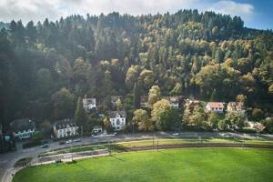 Fabrik-Etage + sep Eingang + Wohnen+Arbeiten + Gründerzeit-4-FamHs + GartenHaus + Garten am Bach + mit Sanierungskonzept – 79100 Freiburg im Breisgau – Vorschaubild 3