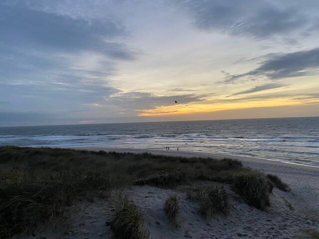 Ferienhausscheibe Hörnum einzigartige Lage auf der Düne – Hörnum (Sylt) – Vorschaubild 8