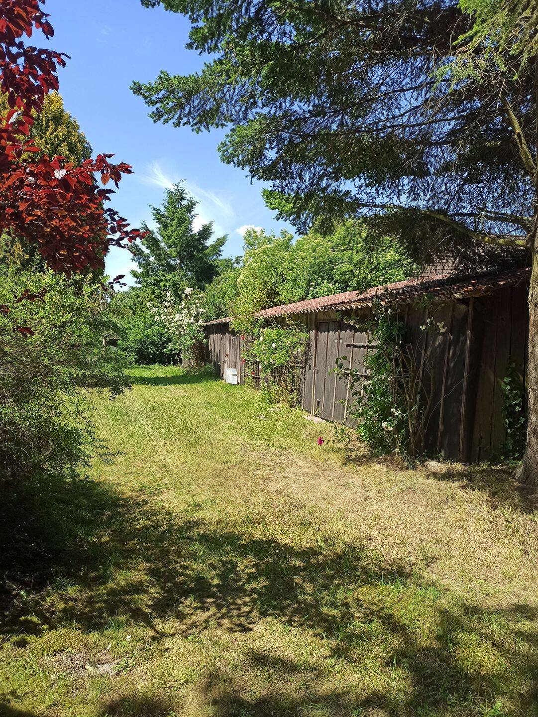 EINFAMILIENHAUS AUF GROSSEM GRUNDSTÜCK IN HOPPENRADE – Löwenberger Land – Vorschaubild 4