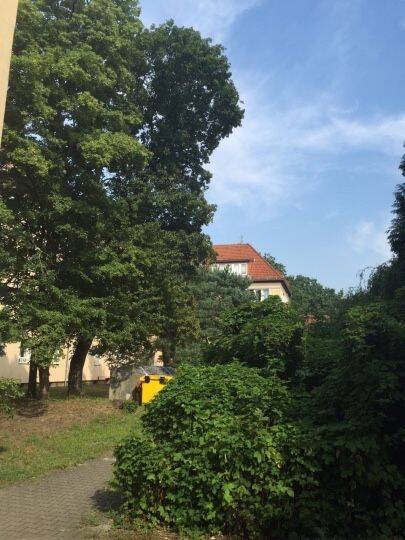 In 2 Minuten am Tegeler See – Berlin – Vorschaubild 3