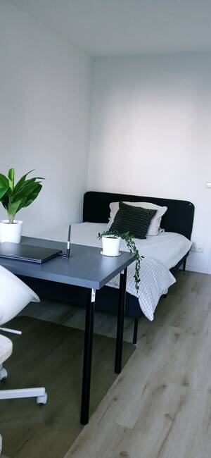 Room Available in Shared 6-Person Apartment – Frankfurt-Höchst – 65929 Frankfurt am Main – Vorschaubild 5