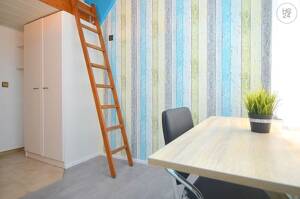 Möbliertes 1-Zimmer-Apartment mit WLAN in Fürth-Mitte – 90763 Fürth – Vorschaubild 6