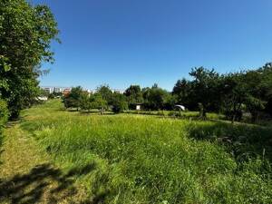 "OSTERBURGBLICK"! EFH mit Ausbau-Potential für Kreative & 3290m²-Grundstück, große Wiese, für Sport & Spiel, Kleintierhaltung & Bio-Gärtner! – 7570 Weida – Vorschaubild 4