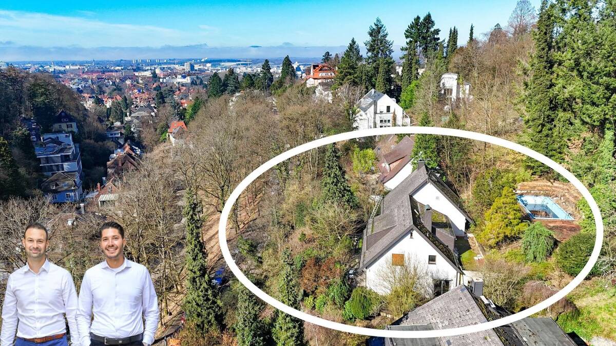 Zwei großzügige Wohneinheiten in Bestlage von Freiburg – 79104 Freiburg im Breisgau – Bild 1 von 9