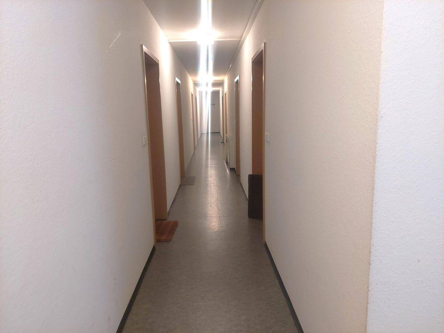 Single -Wohnung-helle und freundliche 1 Zimmerwohnung mit Duschbad, Einbauküche im Hinterhaus – Leipzig – Vorschaubild 6