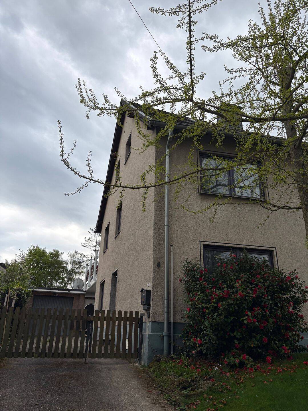 Haus in ruhiger Lage - und trotzdem stadtnah – Bonn – Vorschaubild 6