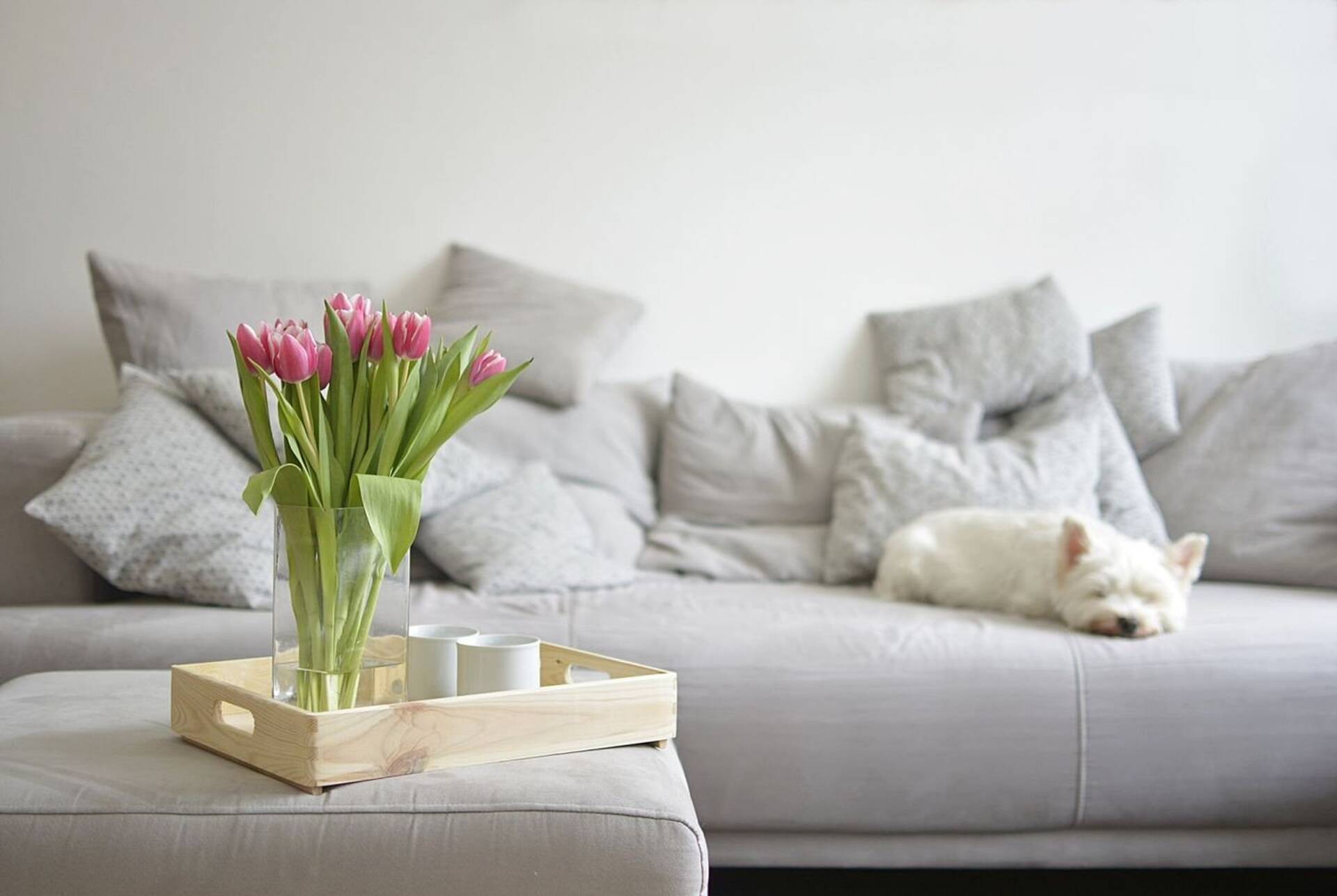 Haus in 57537 Wissen mit 98,1 m² kaufen
