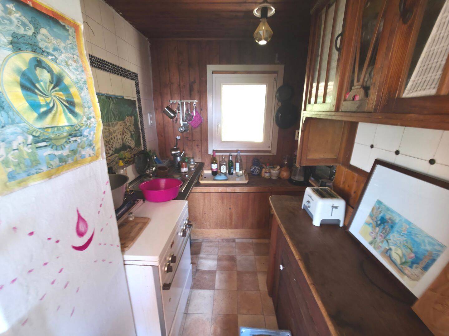 Ruhig gelegenes Grundstück mit Haus unterhalb des Jenzig – Jena – Vorschaubild 9
